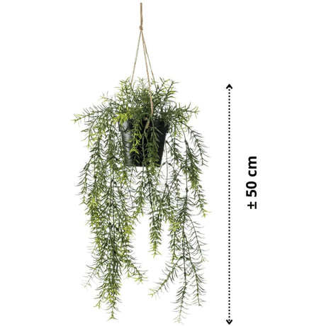 Emerald Umetna viseča špargljeva praprot 50 cm v loncu