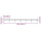 Vrtna ograja s koničastimi vrhovi jeklo 10,2x0,6 m črna
