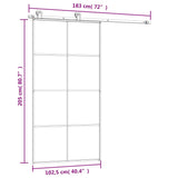 Drsna vrata z opremo 102,5x205 cm ESG steklo in aluminij