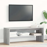 TV omarica siva sonoma 100x40x40 cm inženirski les